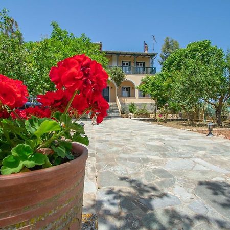 Casa Tsounis By "Elite" Daire Volímai Dış mekan fotoğraf