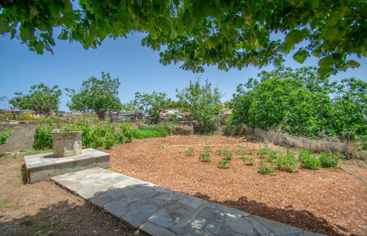 Casa Tsounis By "Elite" Daire Volímai Dış mekan fotoğraf